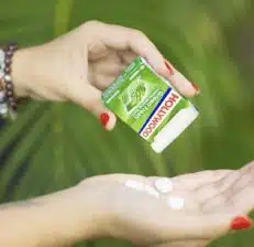 Gum & Mints