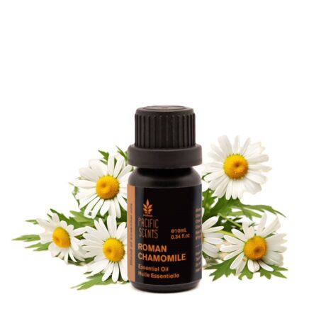 roman-chamomile-essential-oil