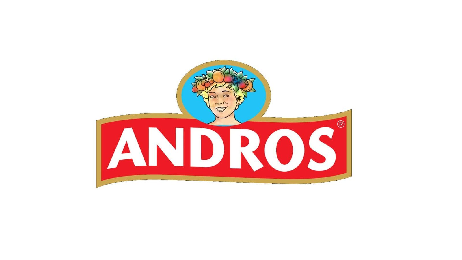 Andros Logo