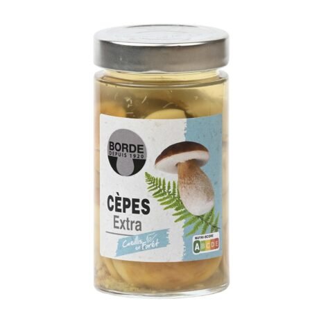 BORDE PORCINI CEPES MUSHROOM