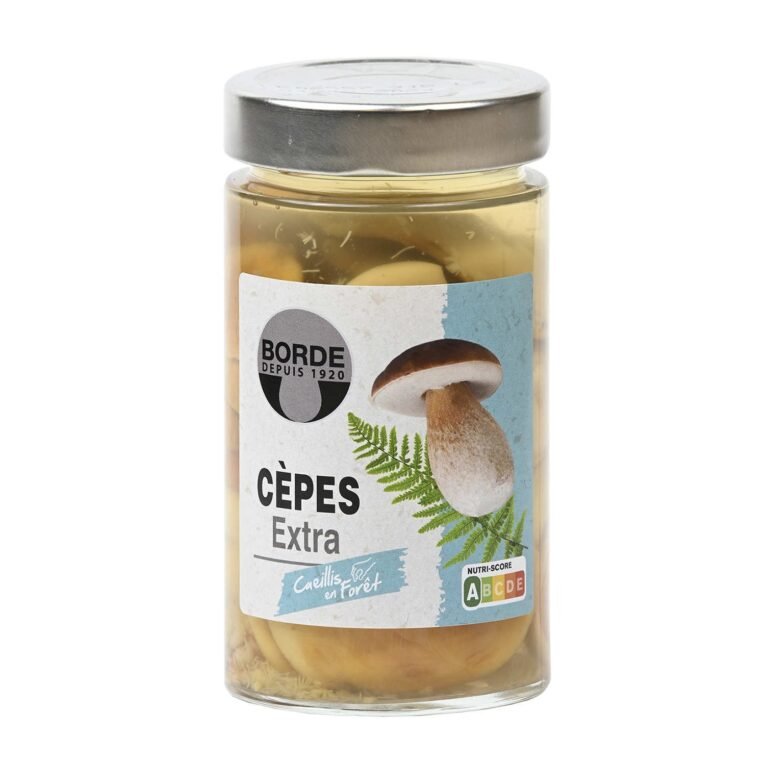 BORDE PORCINI CEPES MUSHROOM