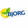 Bjorg Logo