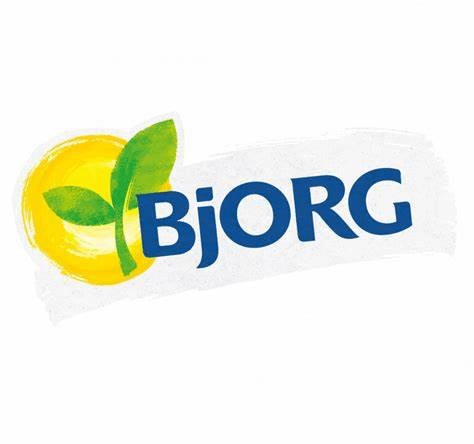 Bjorg Logo