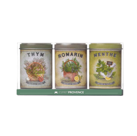 Gift set cooking thyme rosemary mint