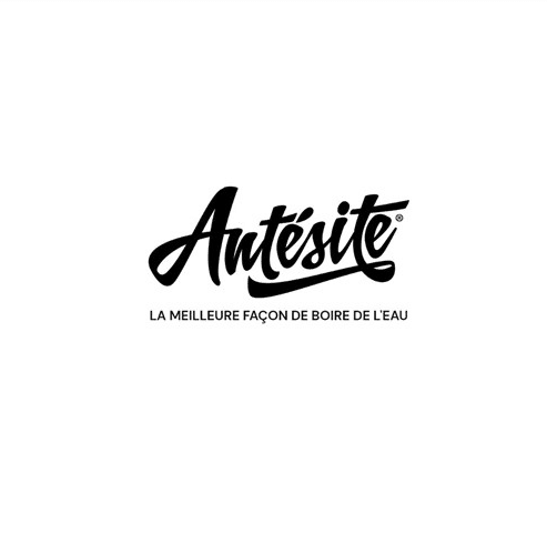 Antesite Logo
