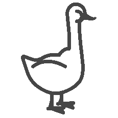 Foie Gras