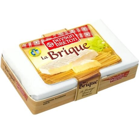 paysan breton la brique