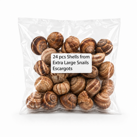 Extra Large Escargot Shells