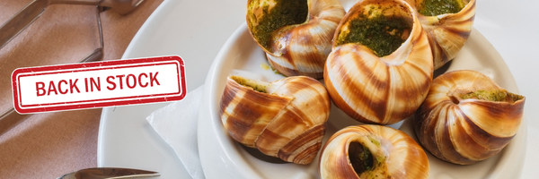 Snail Banner